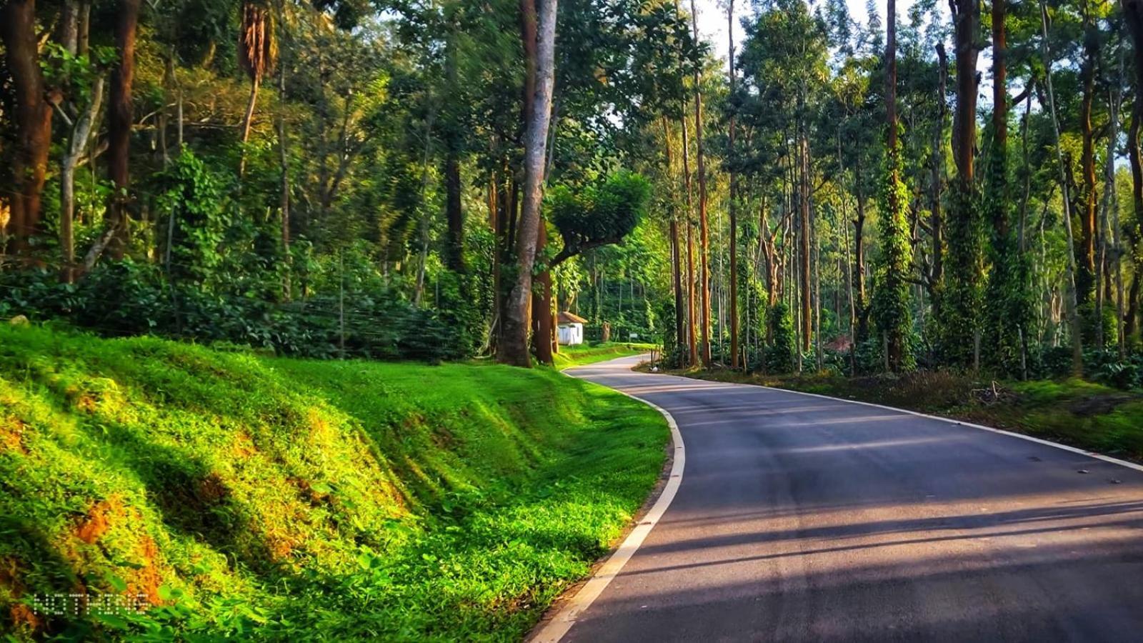 Coorg Divine Spark Home Stay Suntikoppa Dış mekan fotoğraf