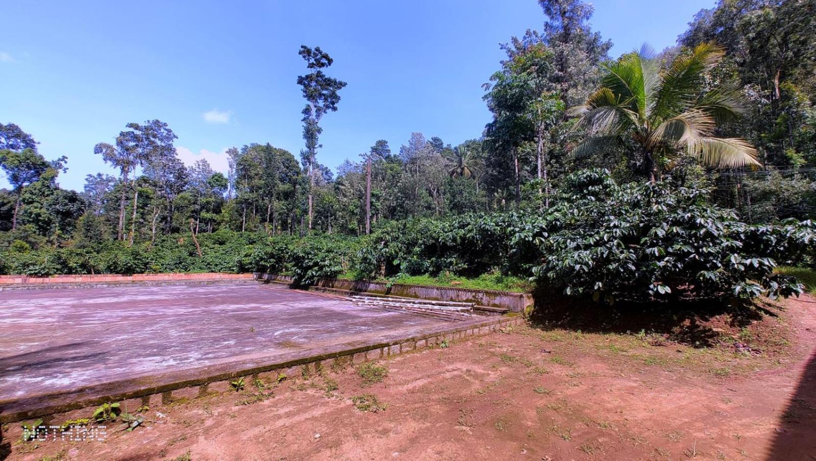 Coorg Divine Spark Home Stay Suntikoppa Dış mekan fotoğraf