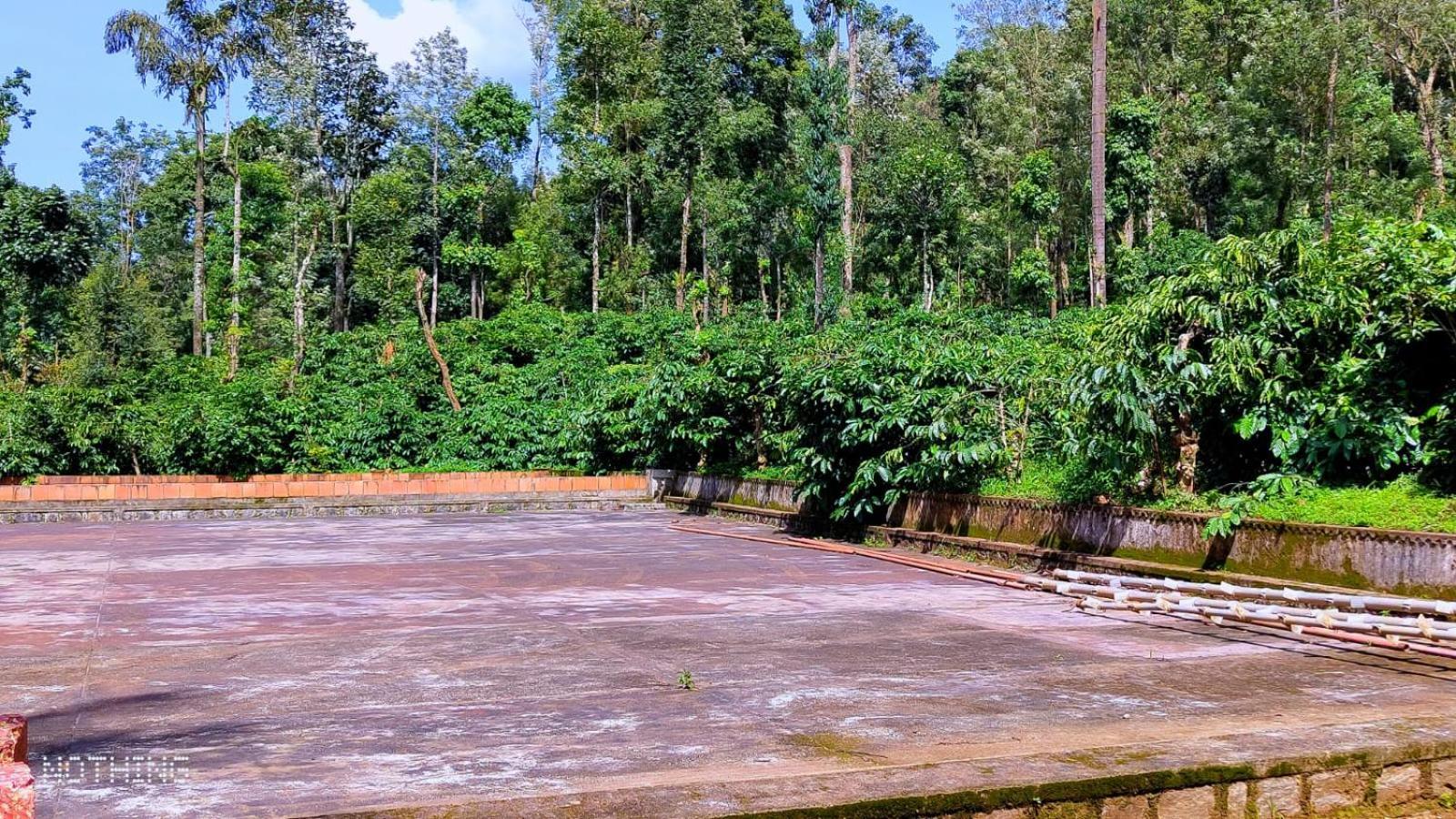 Coorg Divine Spark Home Stay Suntikoppa Dış mekan fotoğraf